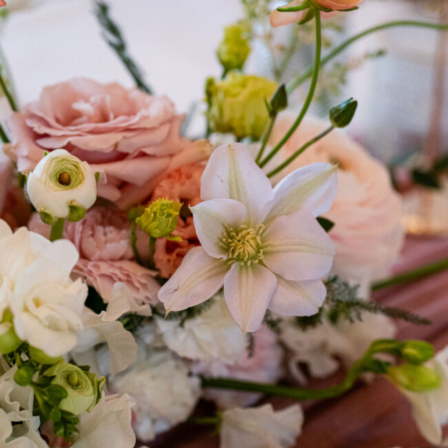Hochzeitsplaner Bodensee